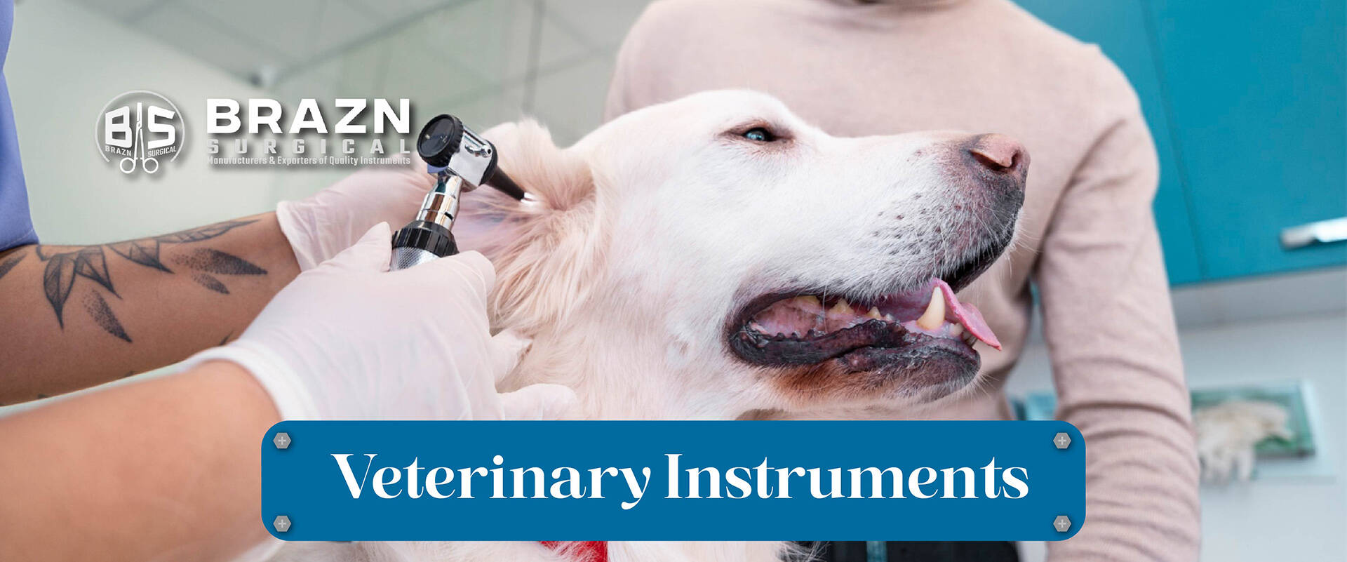 Veterinary