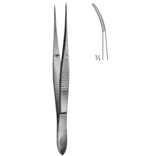 dissecting forceps