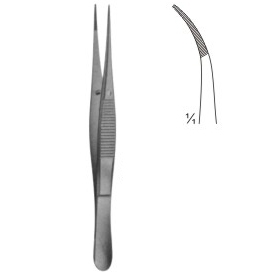 dissecting forceps