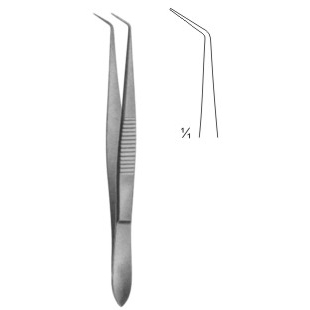 dissecting forceps