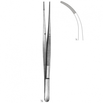 dissecting forceps