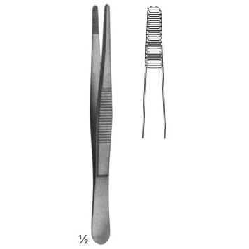 dissecting forceps