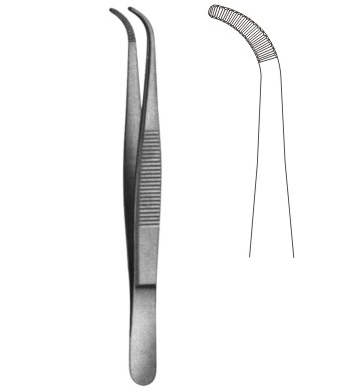 dissecting forceps