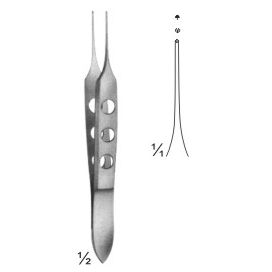 dissecting forceps
