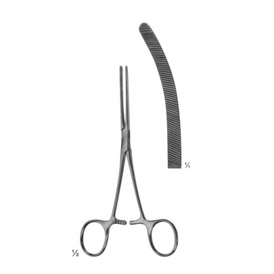 abdominal surgery intestinal