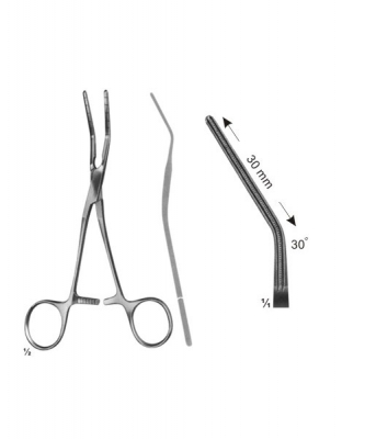 cardiovascular, thoracic surgery