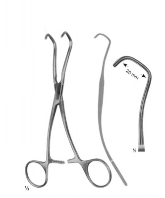 cardiovascular, thoracic surgery