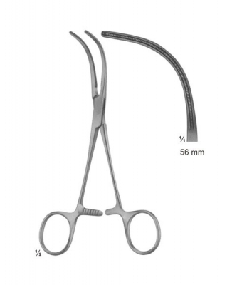 cardiovascular, thoracic surgery