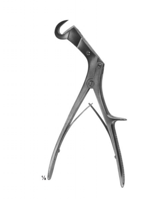cardiovascular, thoracic surgery