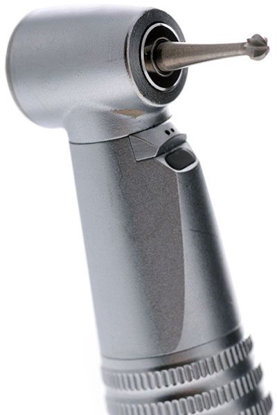 animal dental equipments