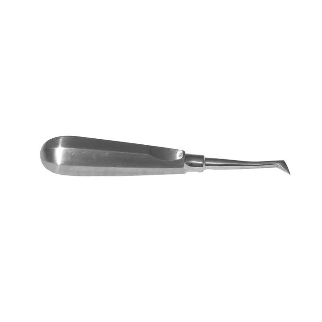 animal dental equipments