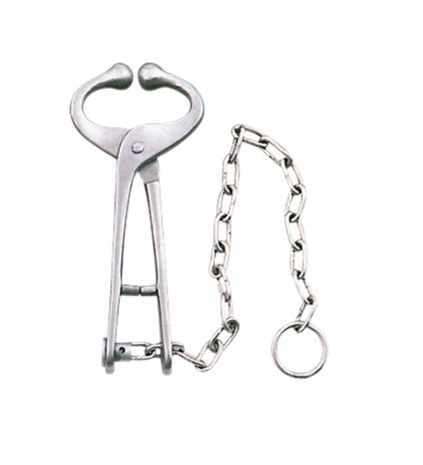bull holder