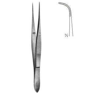 dissecting forceps