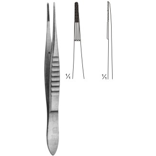 dissecting forceps