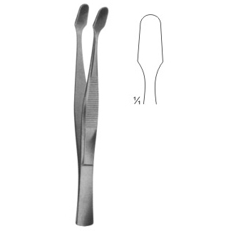 dissecting forceps