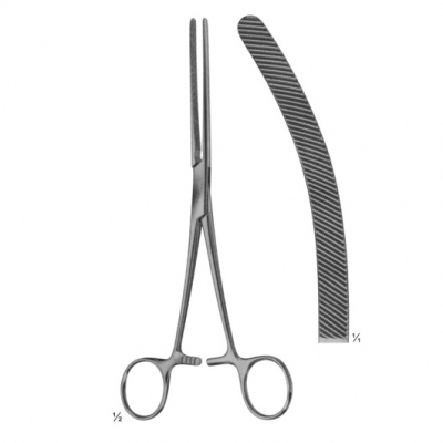 abdominal surgery intestinal
