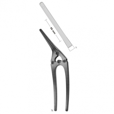abdominal surgery intestinal