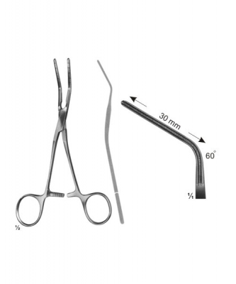 cardiovascular, thoracic surgery