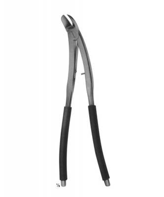 cardiovascular, thoracic surgery