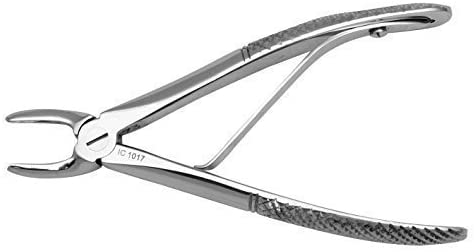 animal dental equipments