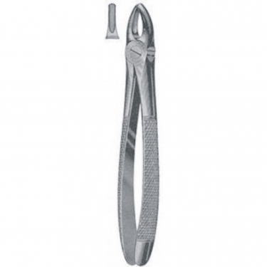 Extracting Forceps for dental