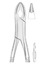 extracting forceps